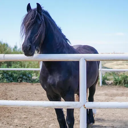 Apartament Luxury Living With Massive Pool - Views And Beautiful Gardens