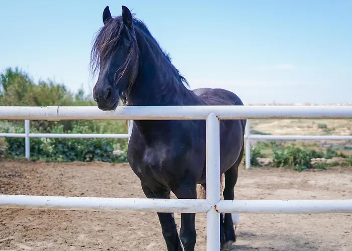 Διαμέρισμα Luxury Living With Massive Pool - Views And Beautiful Gardens