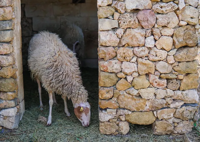 Luxury Living With Massive Pool - Views And Beautiful Gardens *